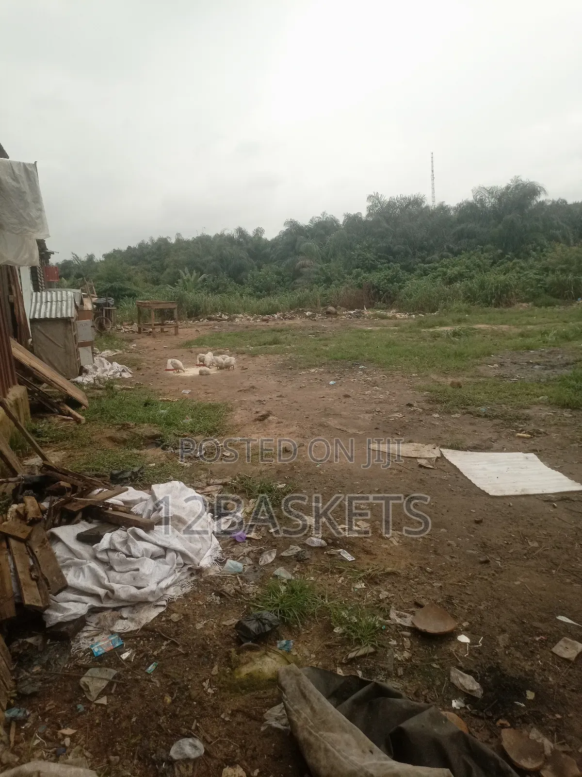 Acres of Land at Owode, Obafemi, Ogun State in Obafemi-Owode