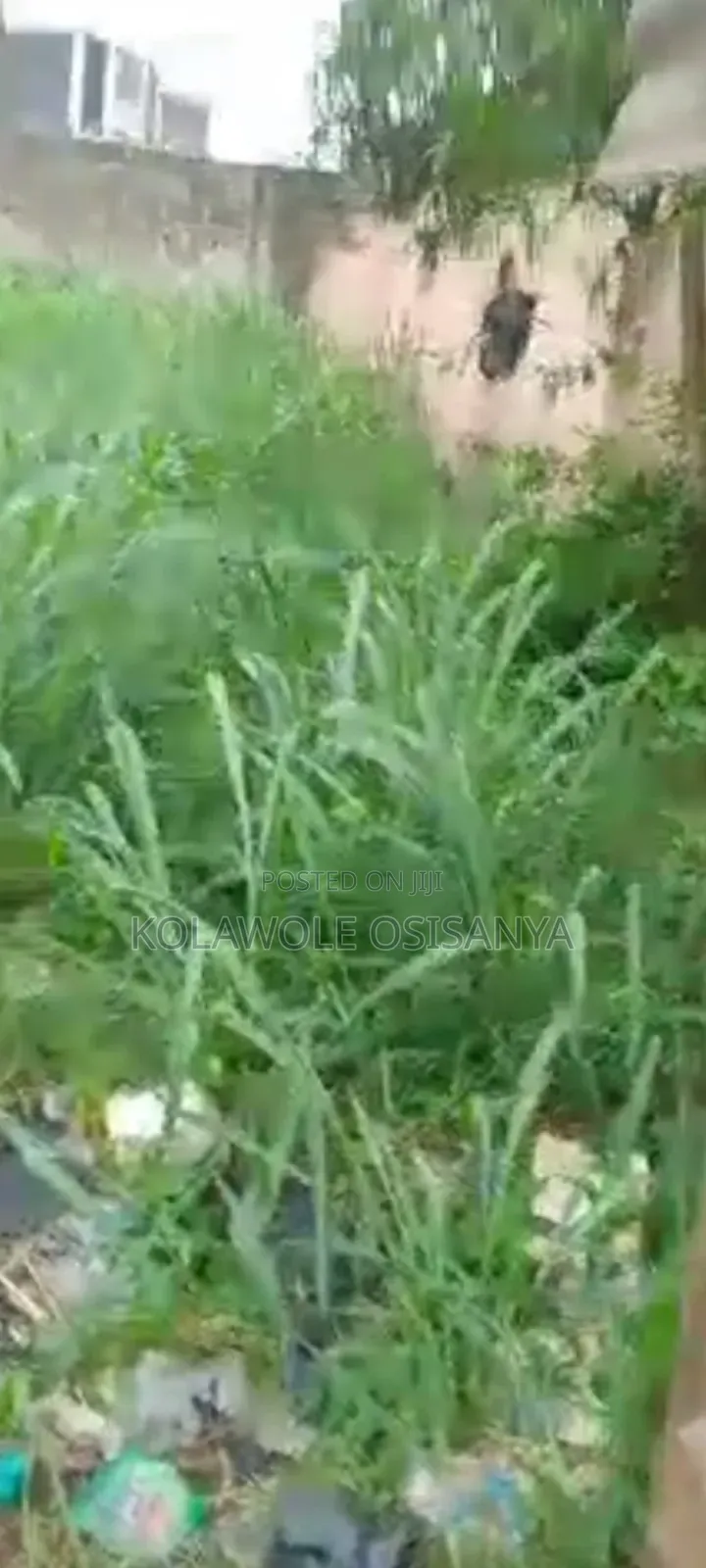 Mixed Use 4plots of Land on Tarred Road in Iseri Olofin