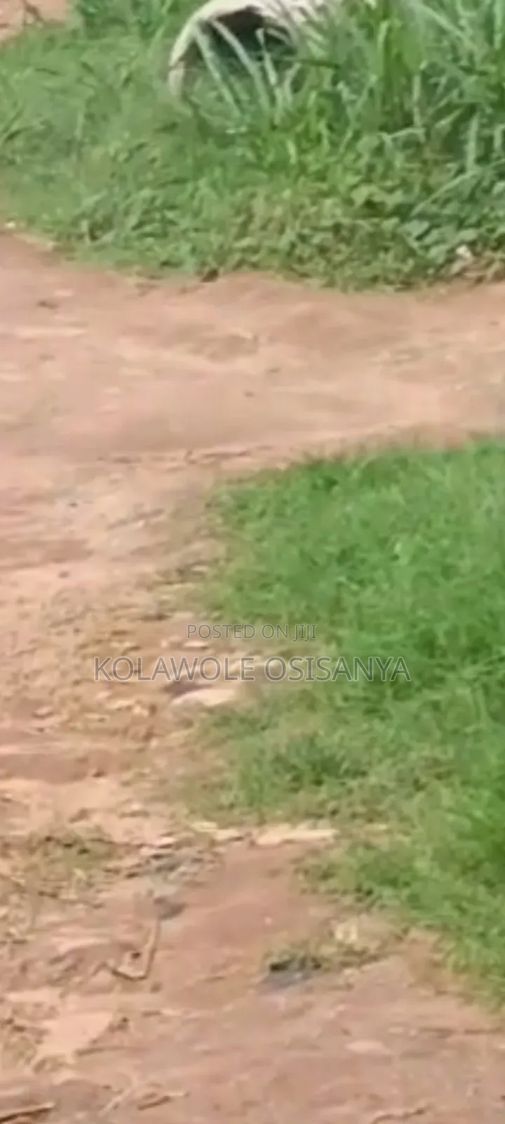 Dry 3plots Together Off Oreyo Ikoroodu in Ikorodu
