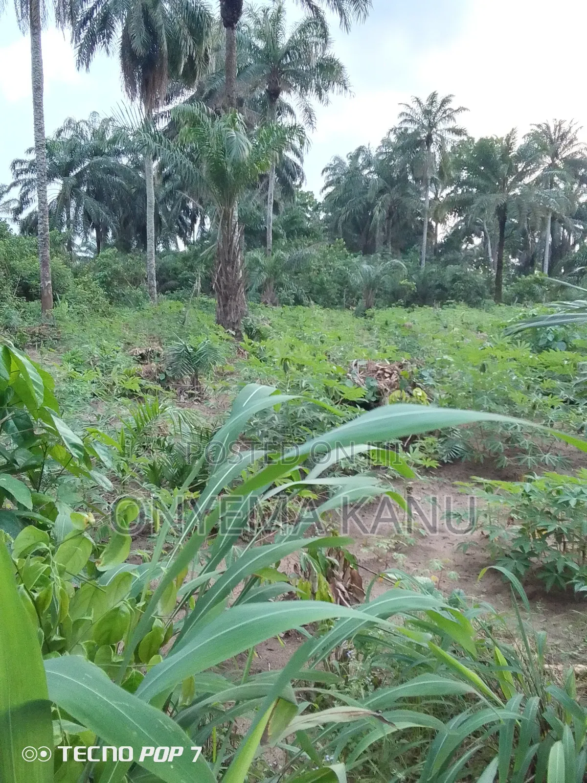 5 Plots at New Layout in Ukwa