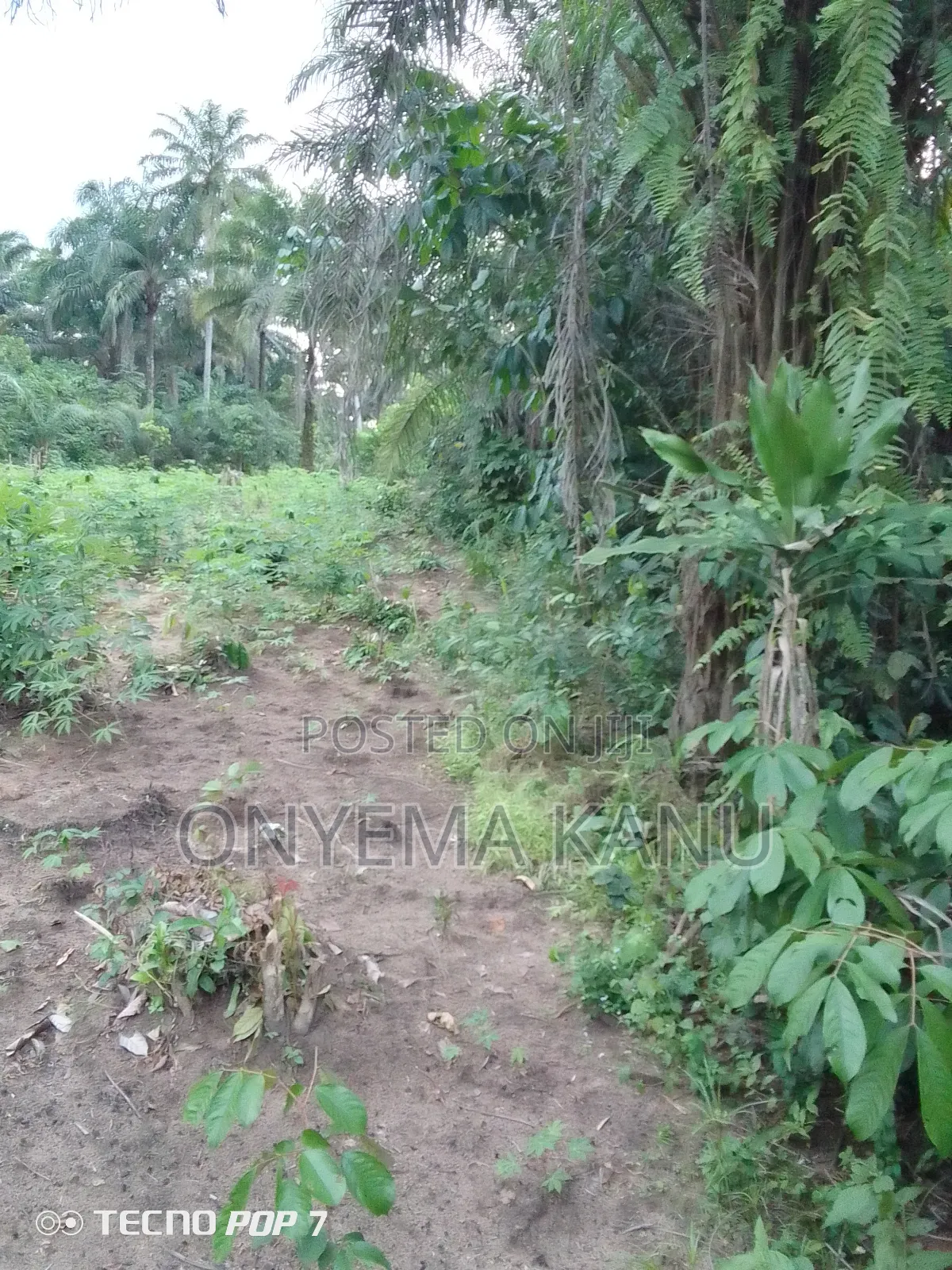 5 Plots at New Layout in Ukwa