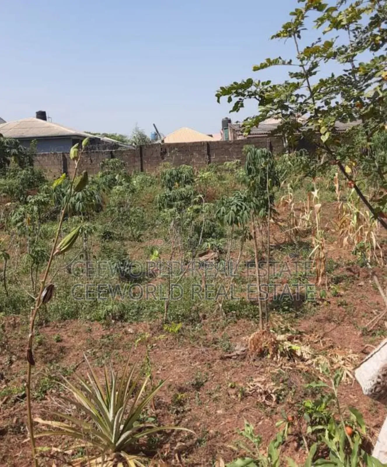 A Standard Plot of Land Available at Akilapa Estate in Ibadan
