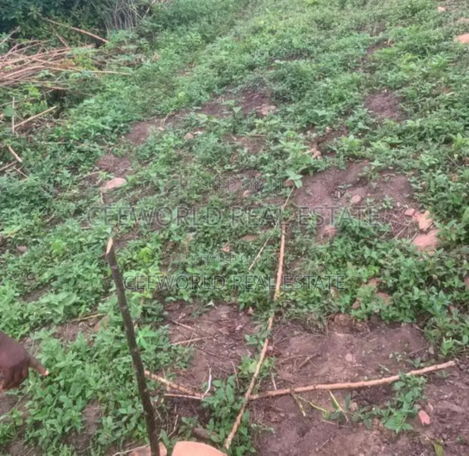 A Standard Plot of Land Available at Akilapa Estate in Ibadan