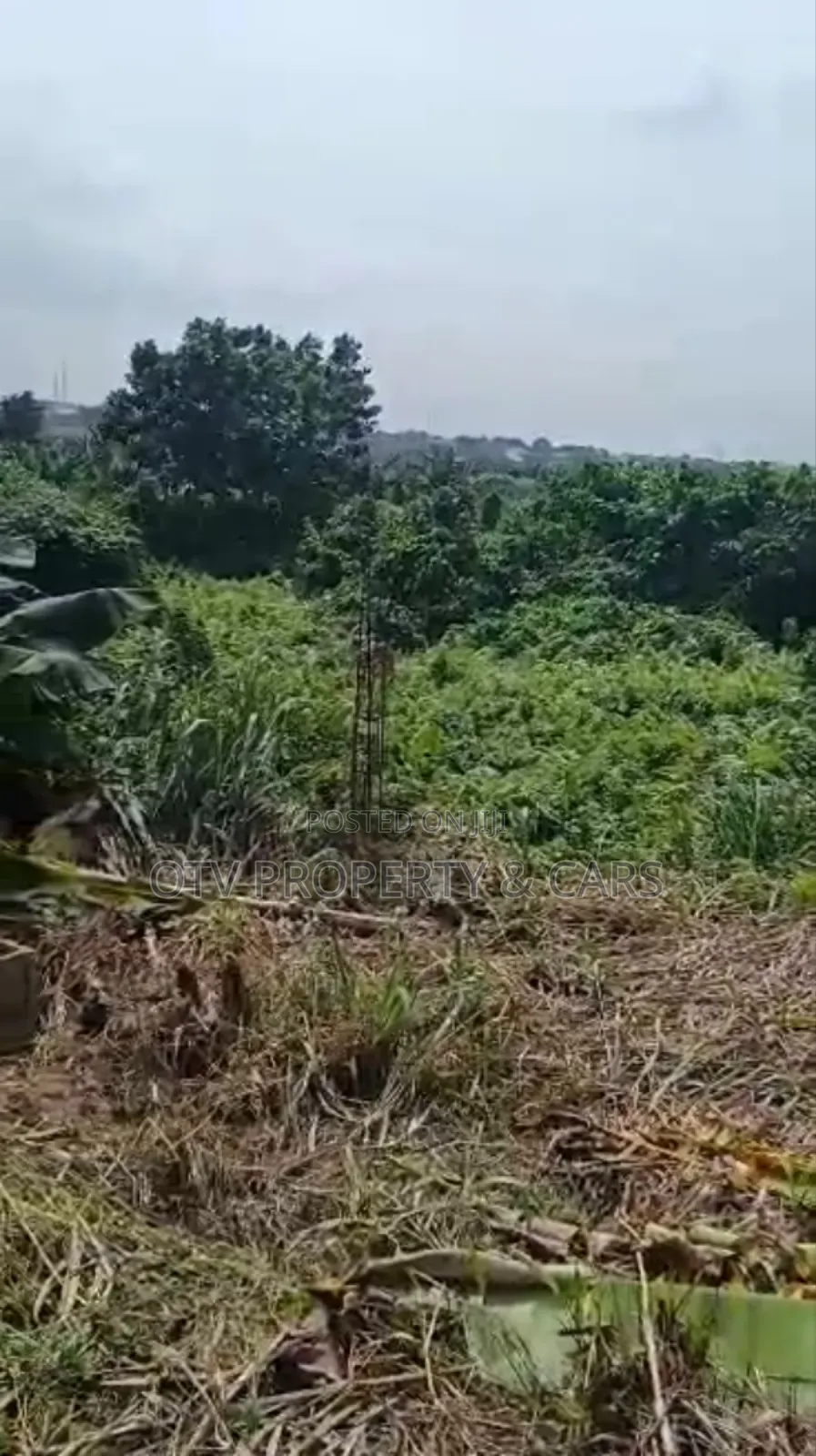 1054 Square Meters of Empty Land for Sale at Ikeja in Adeniyi Jones
