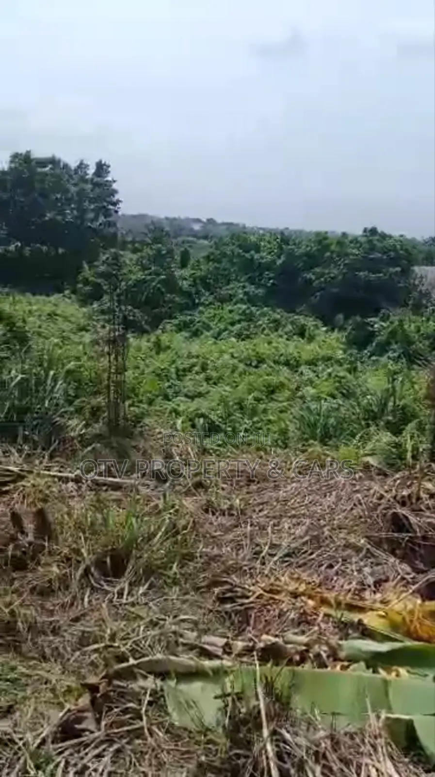 1054 Square Meters of Empty Land for Sale at Ikeja in Adeniyi Jones