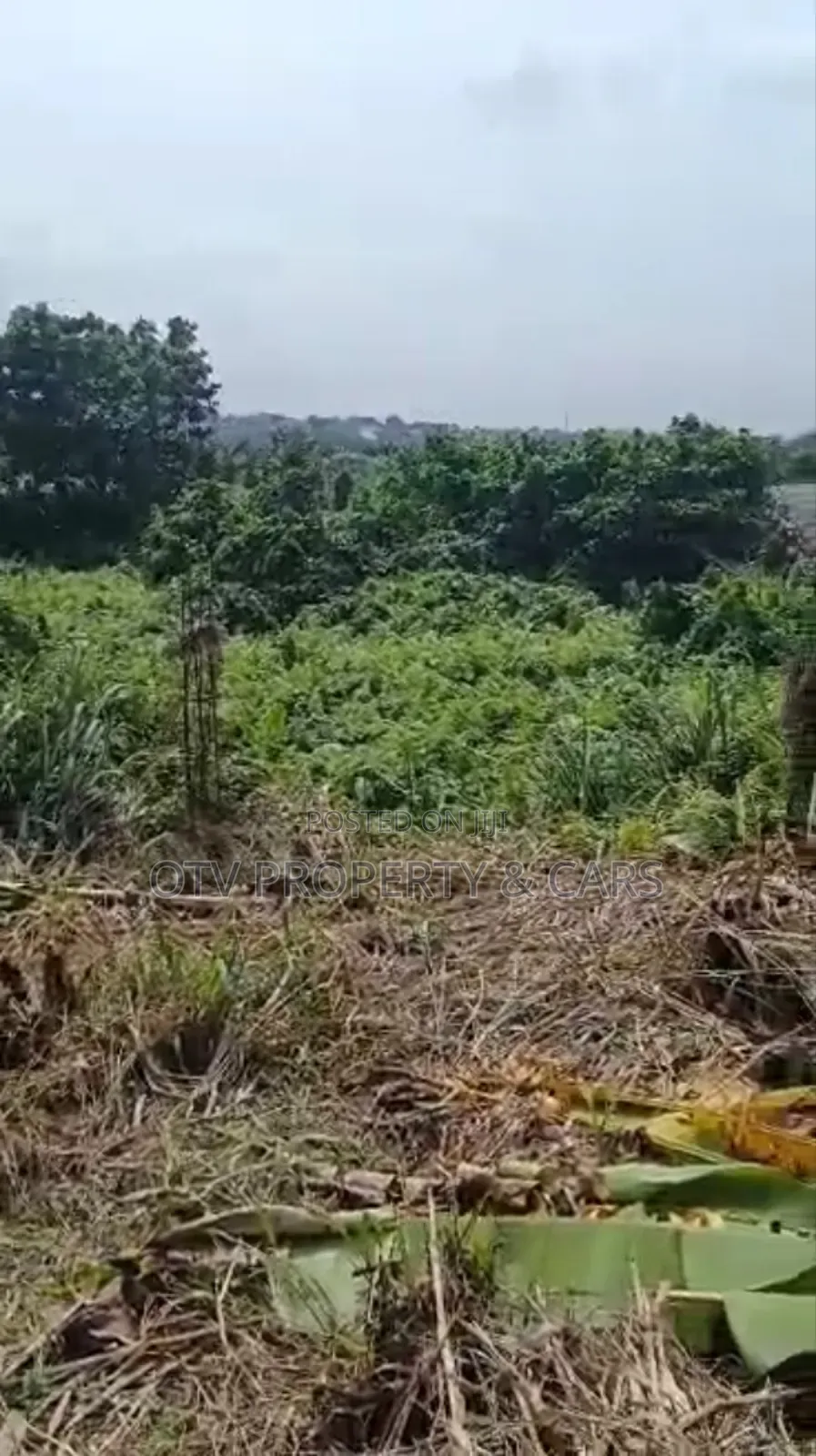 1054 Square Meters of Empty Land for Sale at Ikeja in Adeniyi Jones