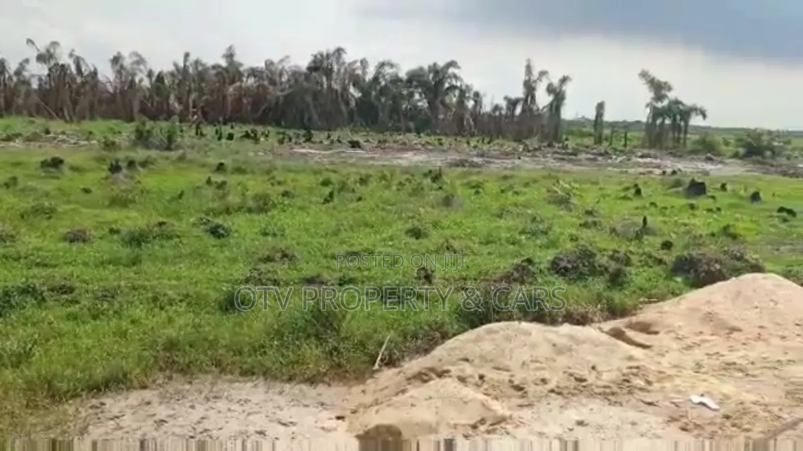6 Plots of Dry Land With C of O for Sale in Ajah