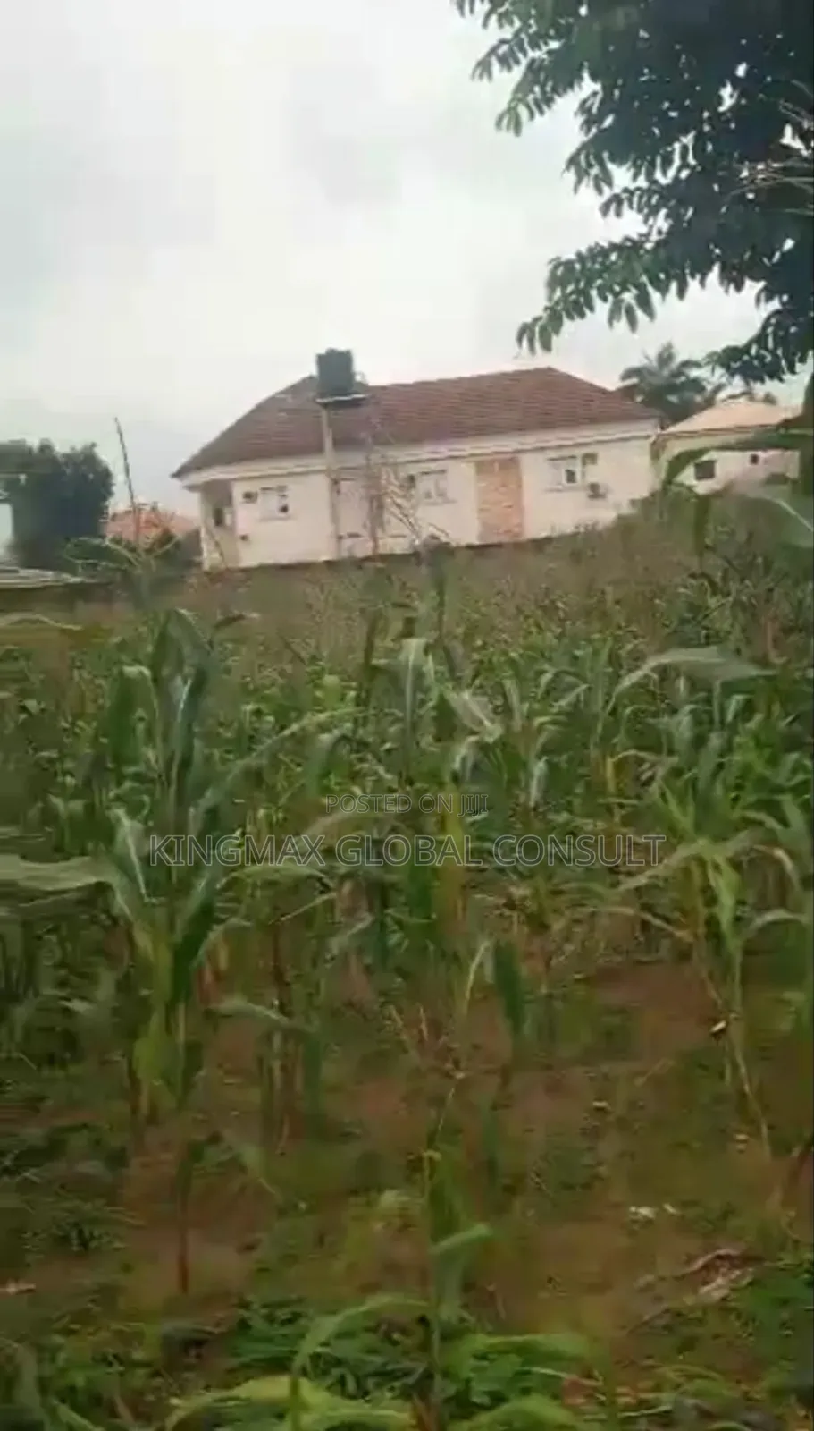 Residential Land for Sale With Cofo on Ground :1500sqm in Durumi