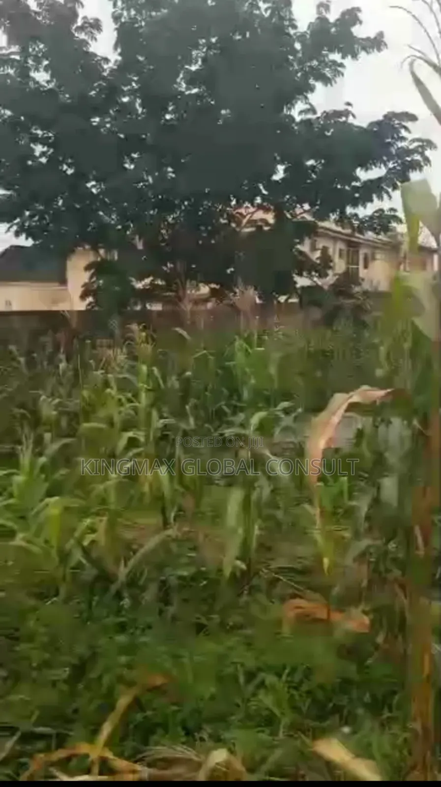 Residential Land for Sale With Cofo on Ground :1500sqm in Durumi