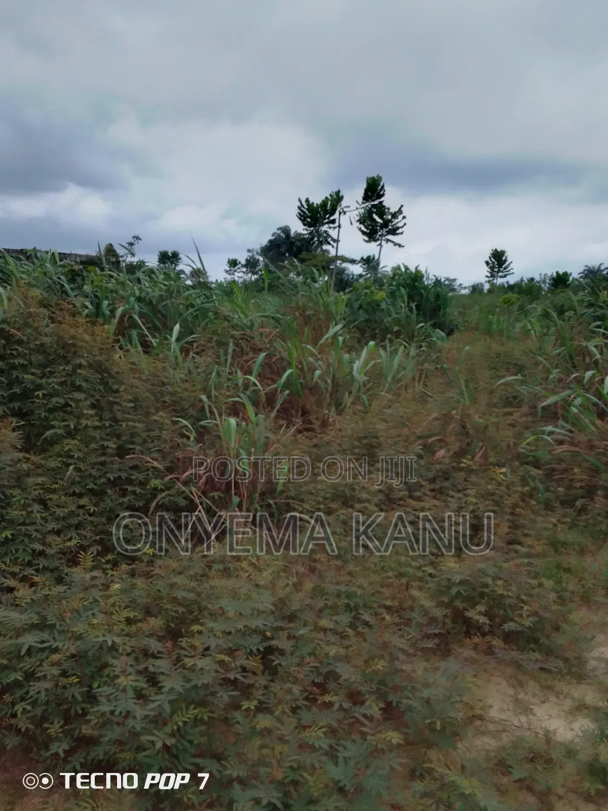 Buy and Build: 10 Minutes Drive to Ph in Ukwa