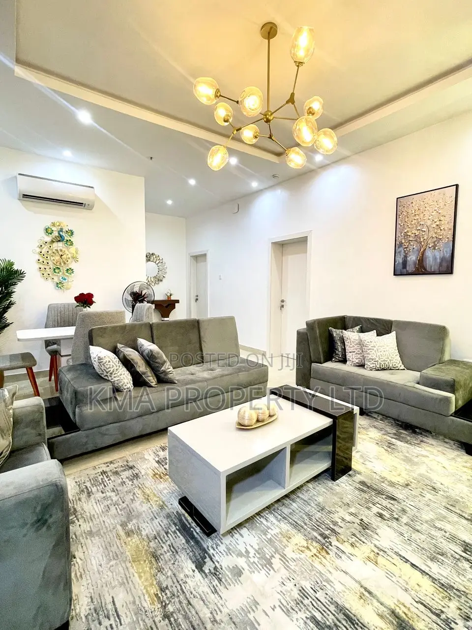 Luxurious 2 Bedroom Apartment in Surulere