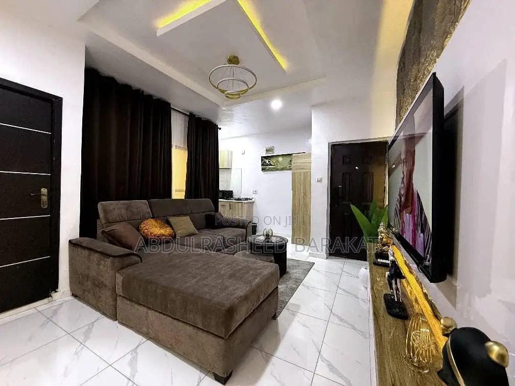 Brand New Cozy One Bedroom Apartment in Surulere