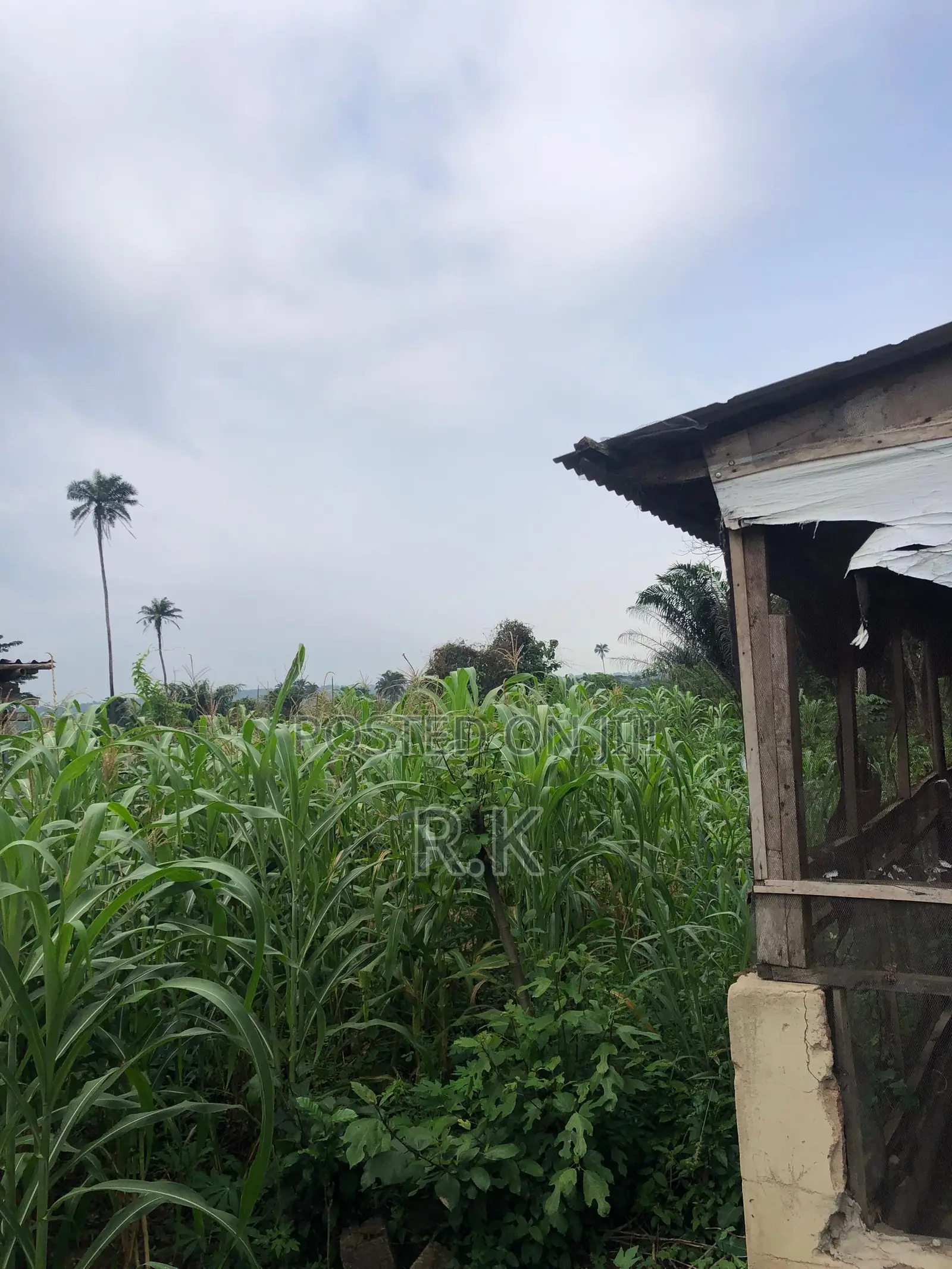 3 Acres of Land for Sale in Ibadan
