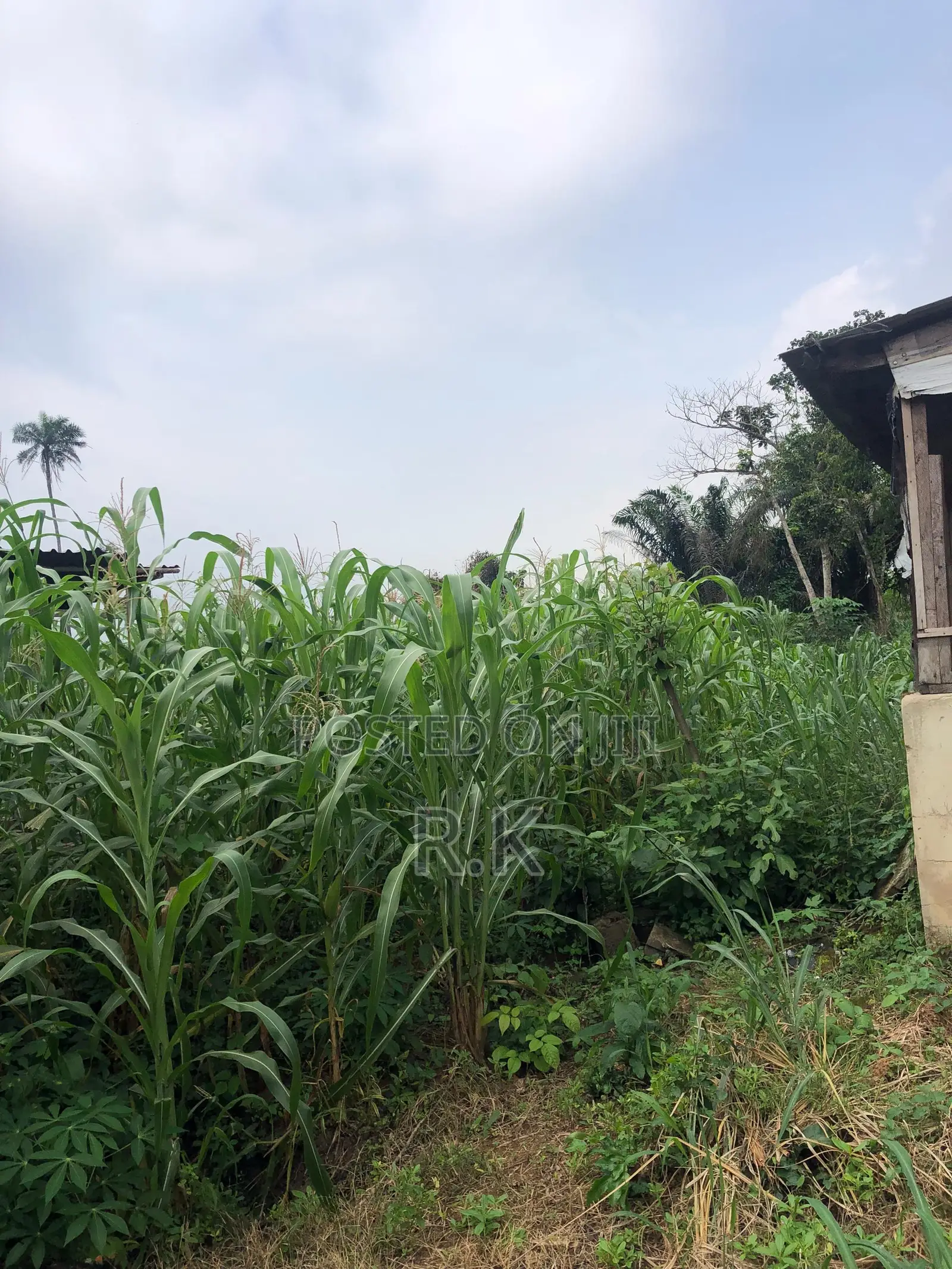 3 Acres of Land for Sale in Ibadan