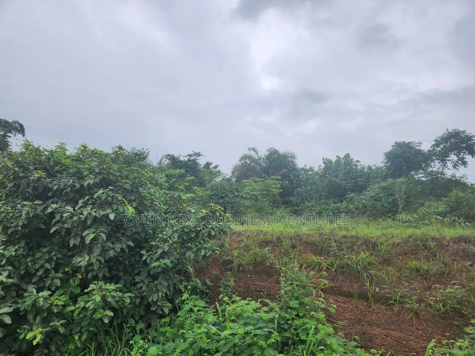 230 Acres of Industrial Land in Ogun State in Ikenne