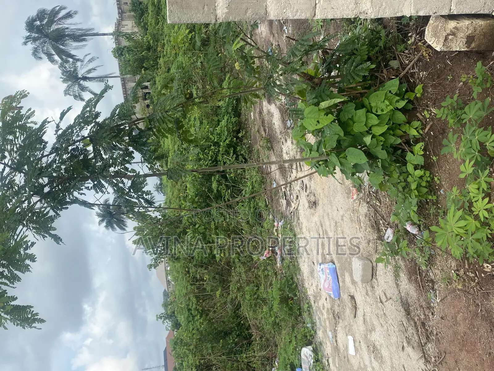 One Plot on Land in a Buildup Area for Sale in Owerri