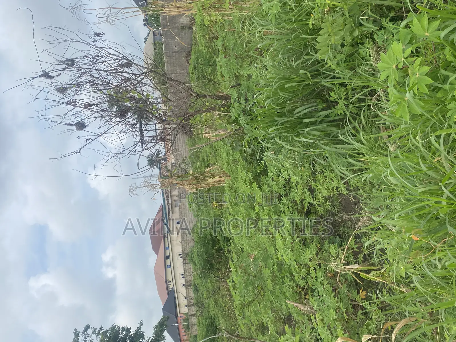 One Plot on Land in a Buildup Area for Sale in Owerri