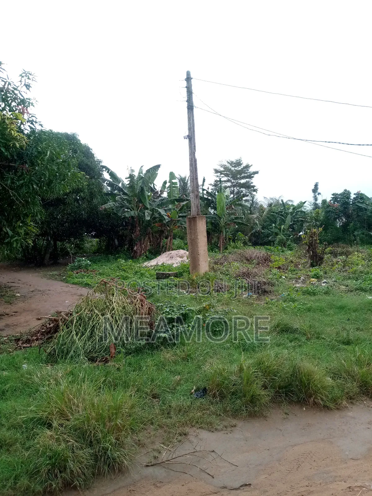 One Plot of Land in Epe