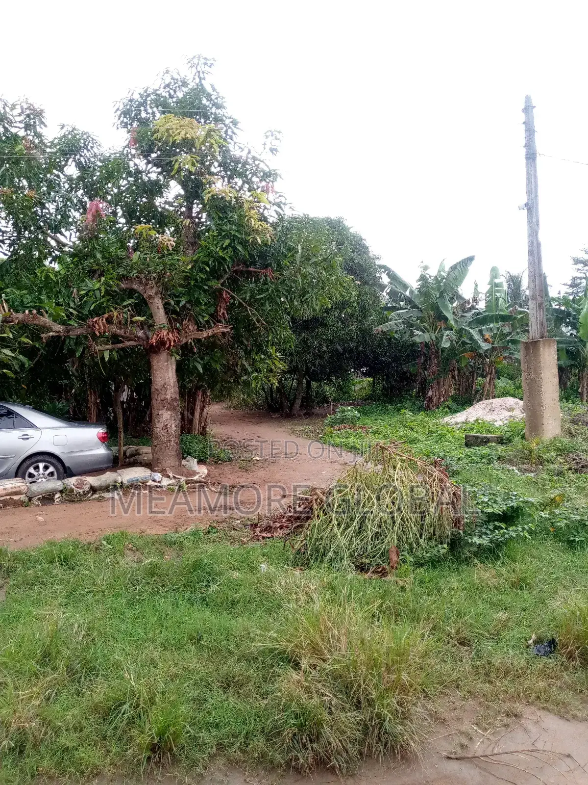 One Plot of Land in Epe