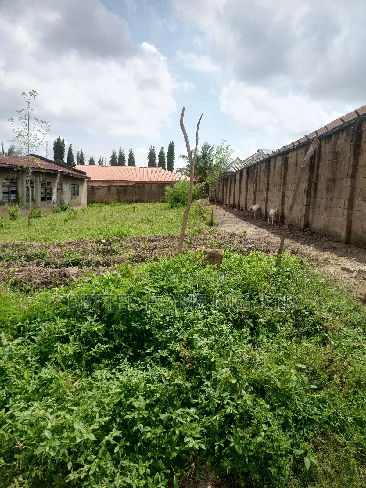 Plot of Land in Akala Express