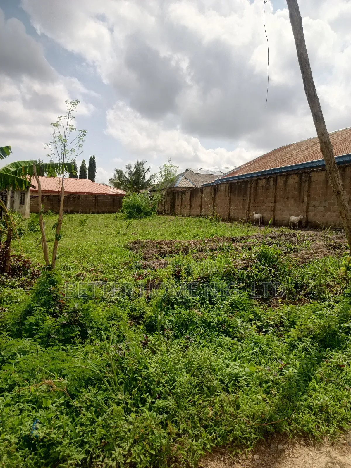 Plot of Land in Akala Express