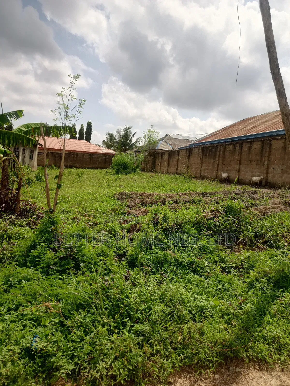 Plot of Land in Akala Express