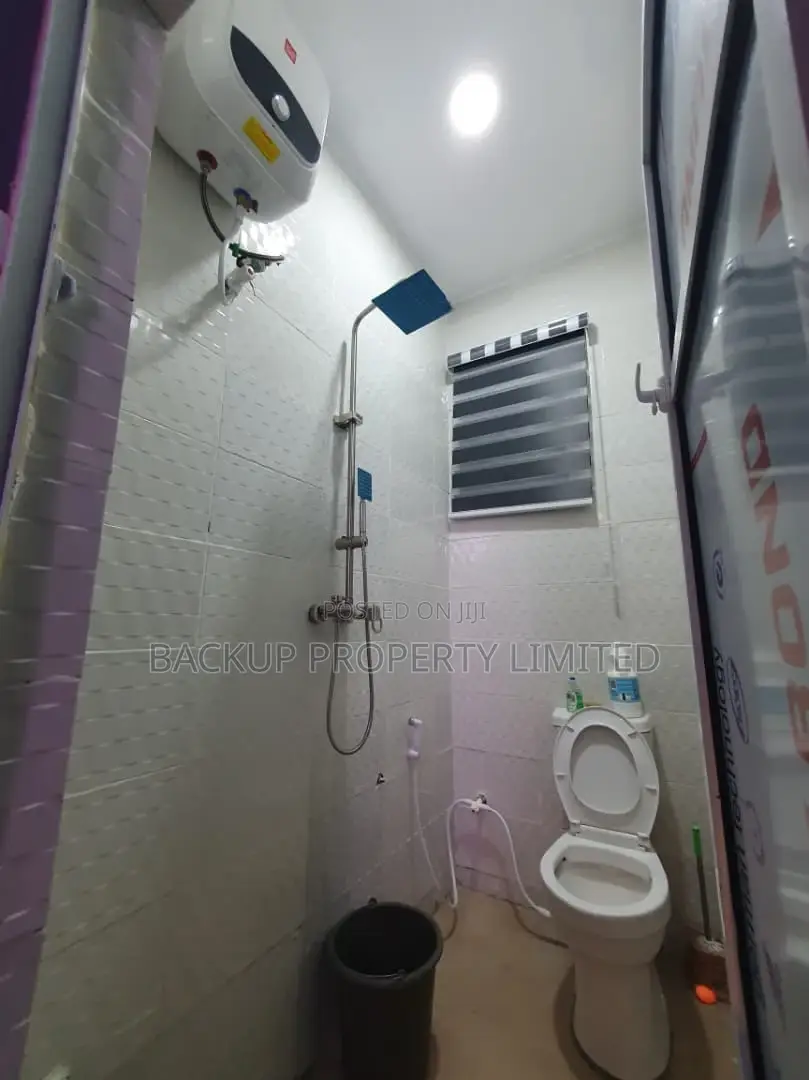 Furnished Mini-Flat at Surulere in Lawanson