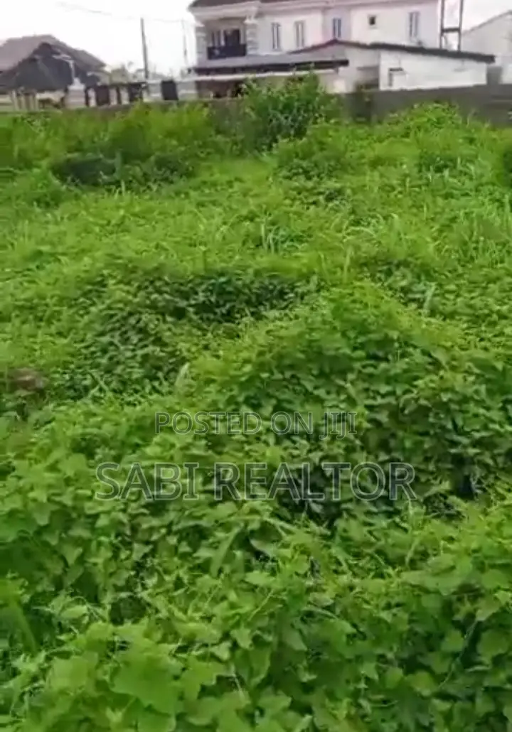 Standard Full Plot of Land With Cofo at Isheri for Sale at Isheri in Iseri Olofin