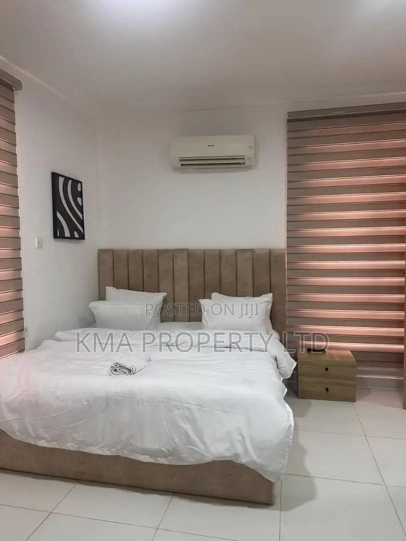Luxurious 2 Bedroom Apartment With Pool and Gym in Ikoyi