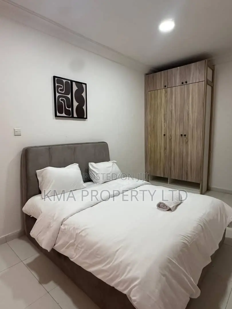 Tastefully Furnished 2 Bedrooms Apartment in Ikoyi