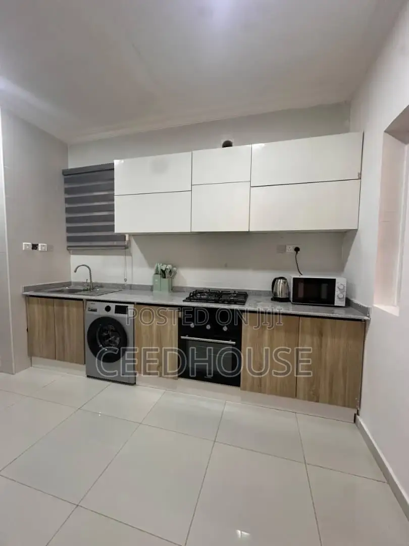 Tastefully Furnished 2 Bedrooms Apartment in Ikoyi