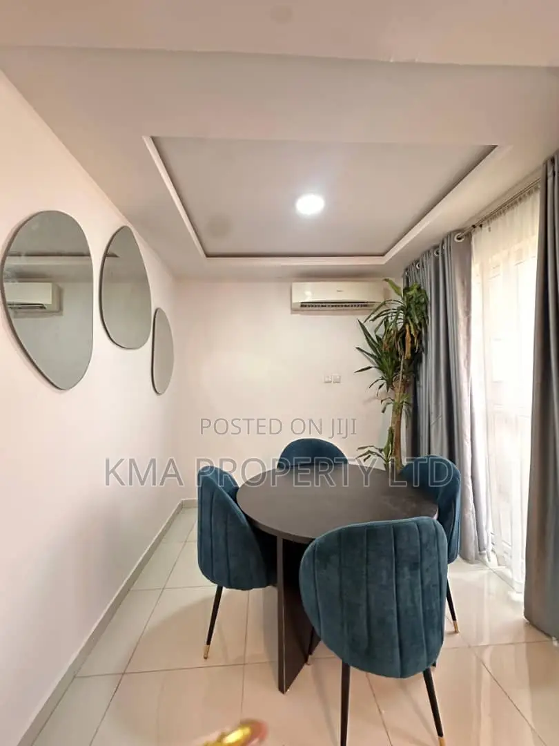 Tastefully Furnished 2 Bedrooms Apartment in Ikoyi