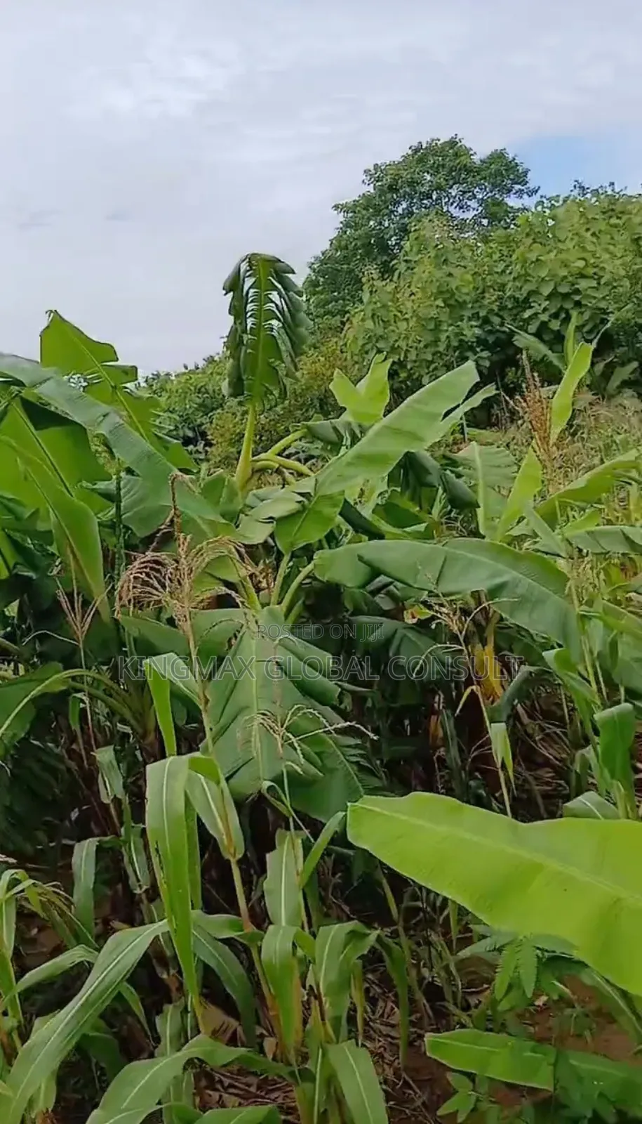 Commercial Plot For Sale, Size:3392.58sm, Tarred, Fenced With Gate. in Kuje