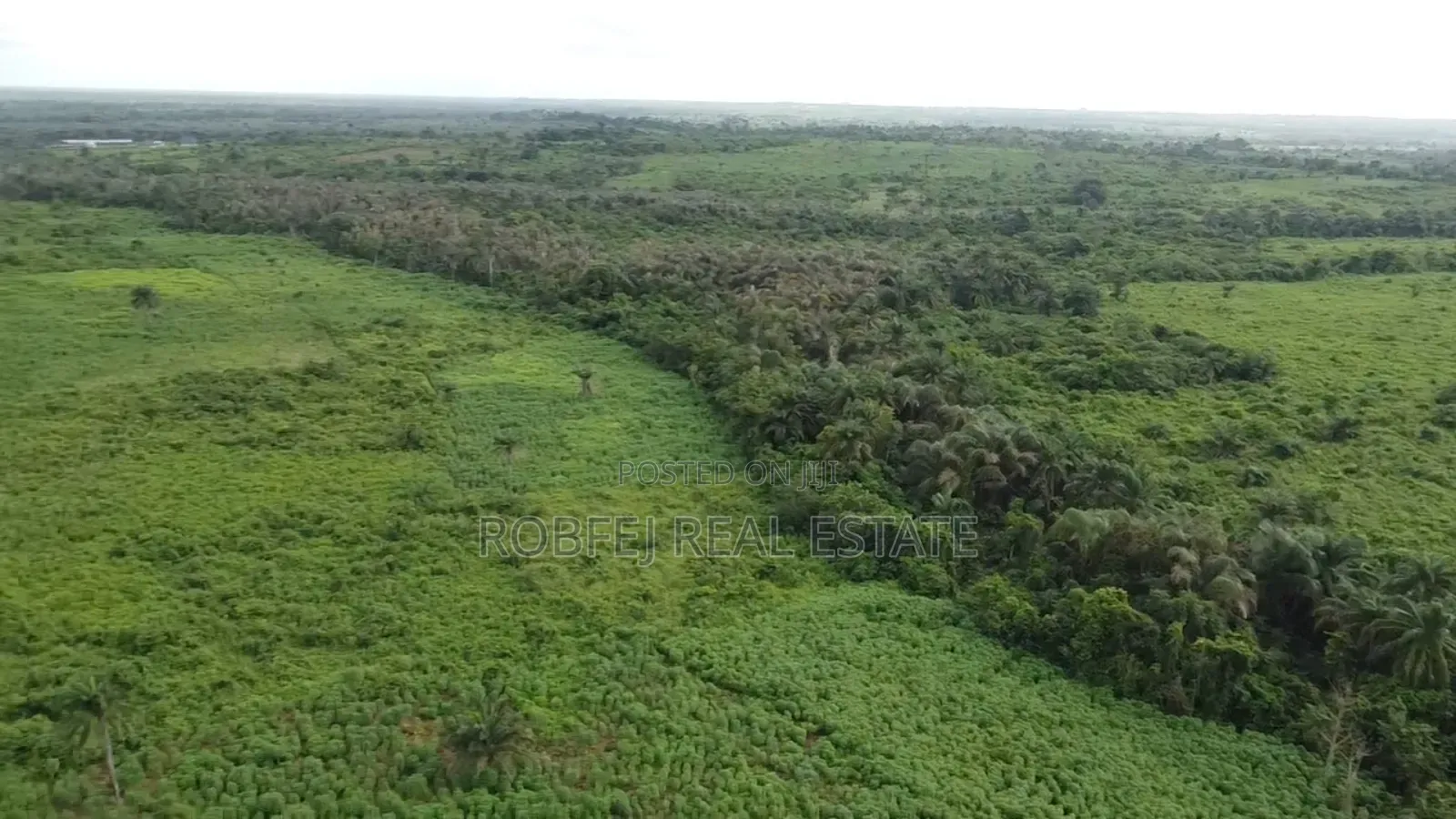 50 Plots Alarming Distress Offer in Aiyeteju