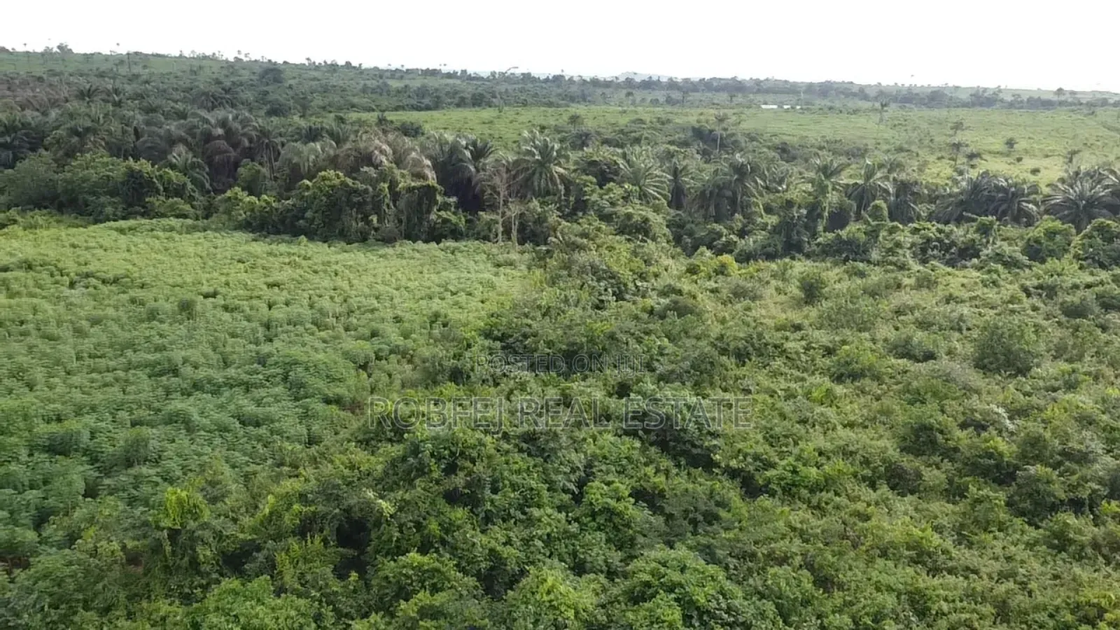 50 Plots Alarming Distress Offer in Aiyeteju
