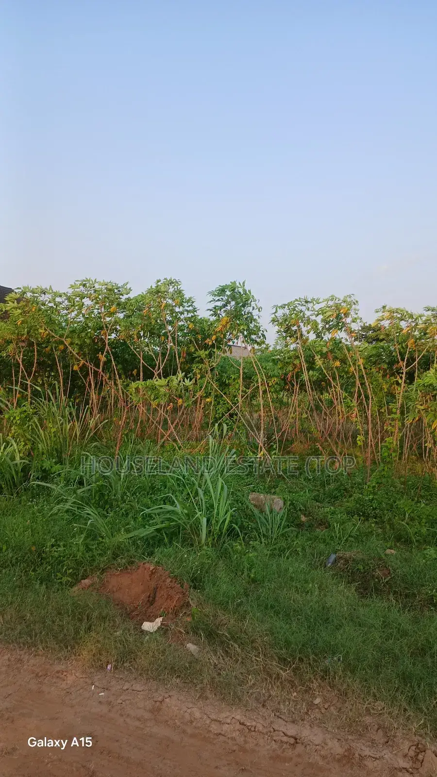 Land With Cofo in Benin City