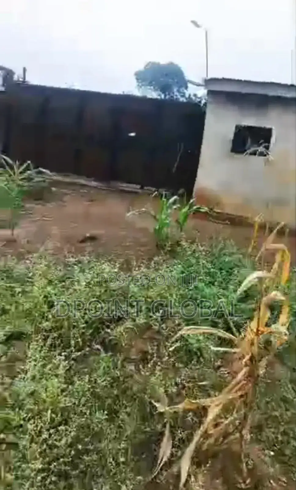 Massive Land in Ifako-Ijaiye