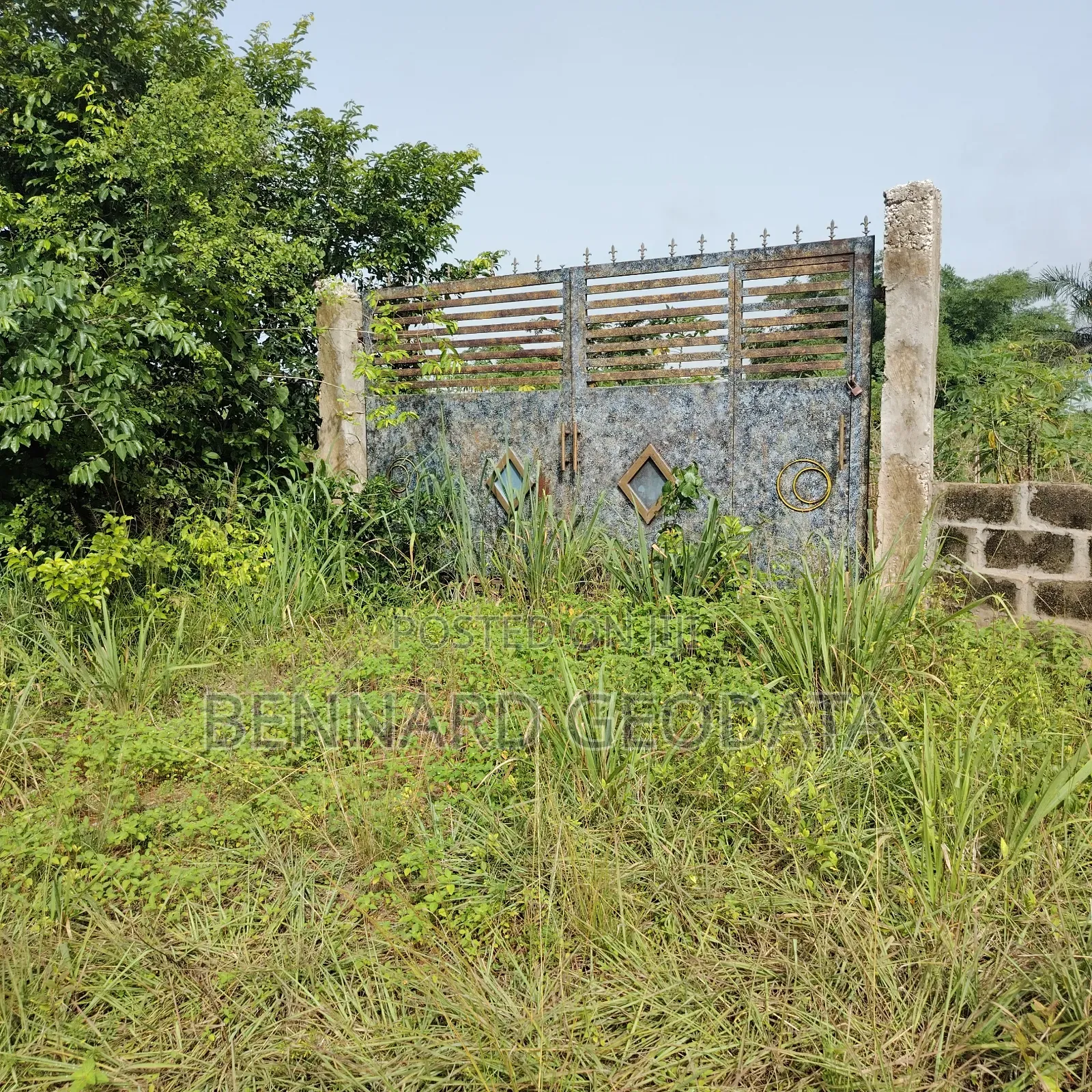 Arable Farmland for Sale in Ewekoro