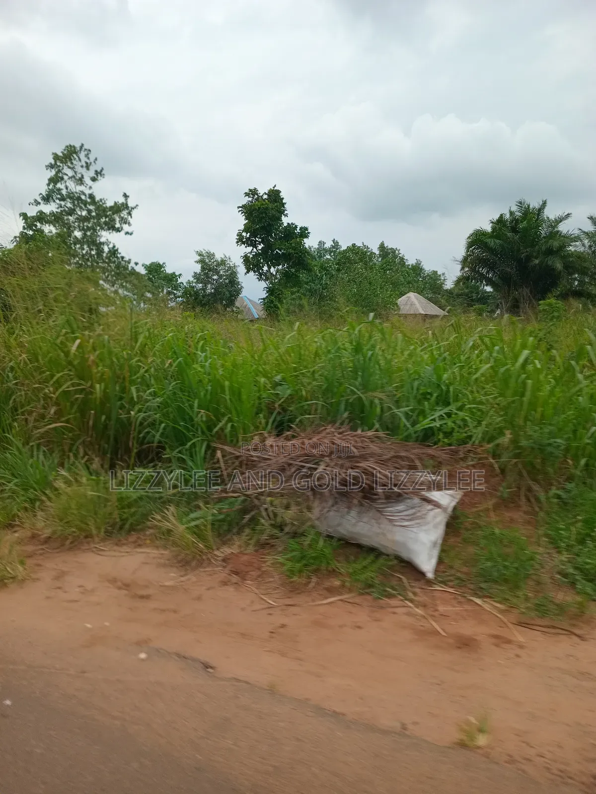 2000 Acres of Farmland in Ilaro