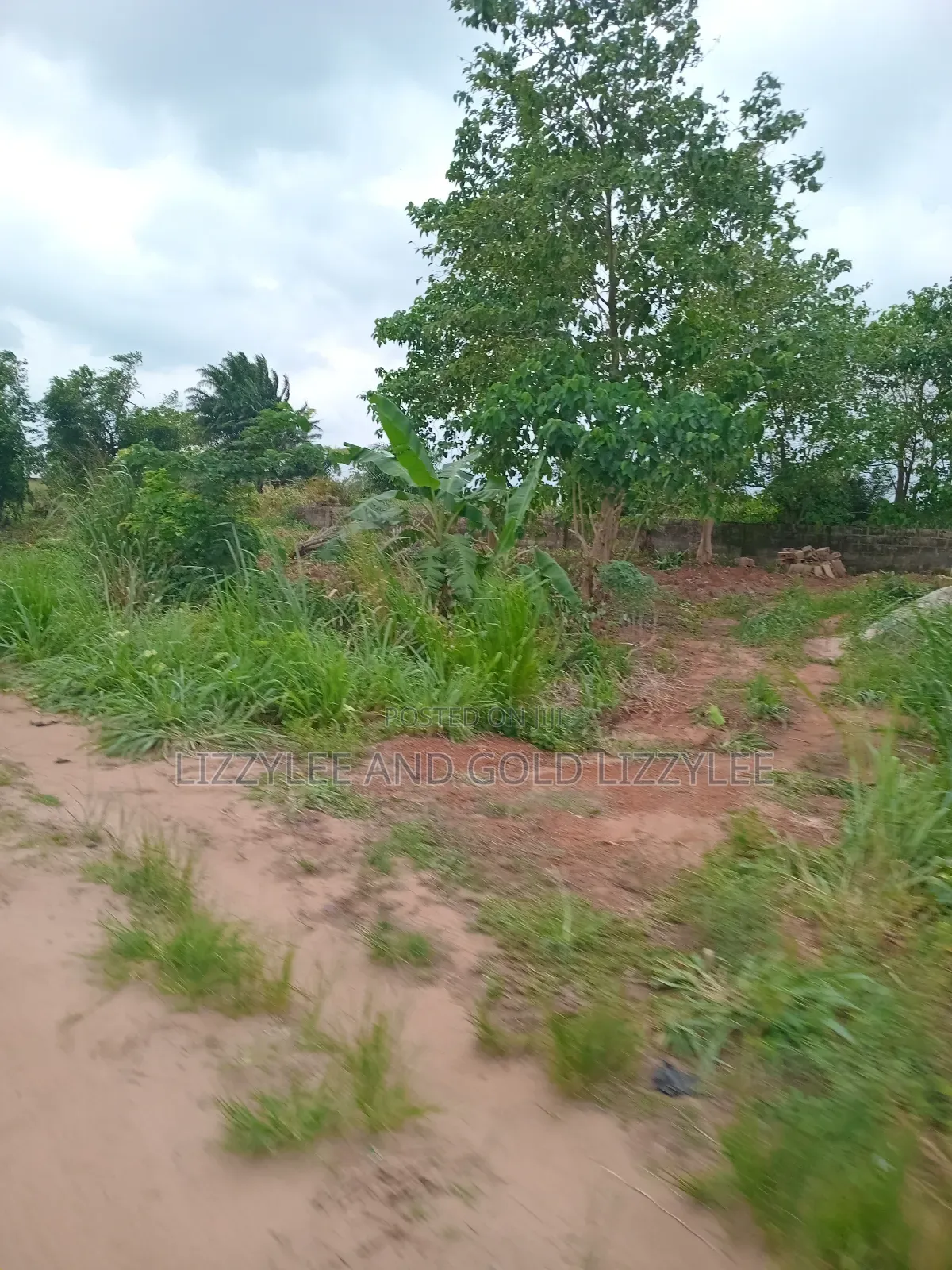 2000 Acres of Farmland in Ilaro