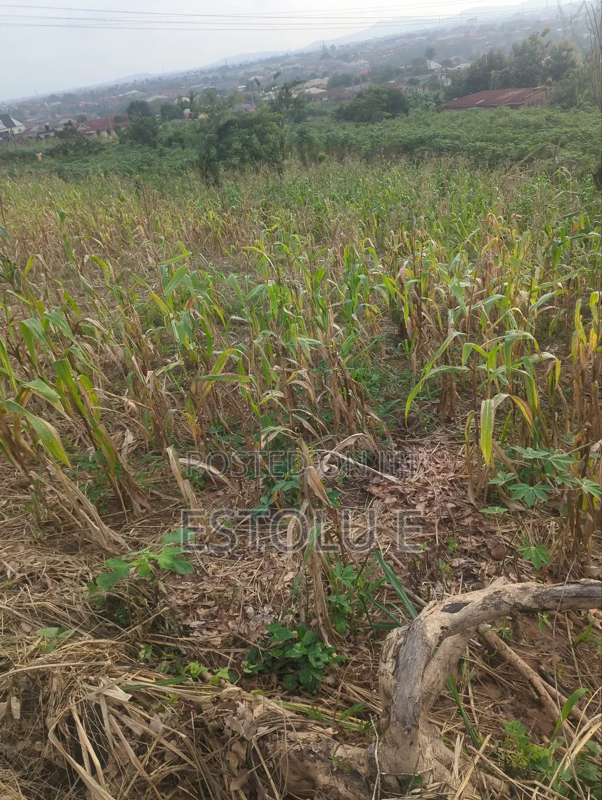 A Plot of Land at Powerline in Ilesa