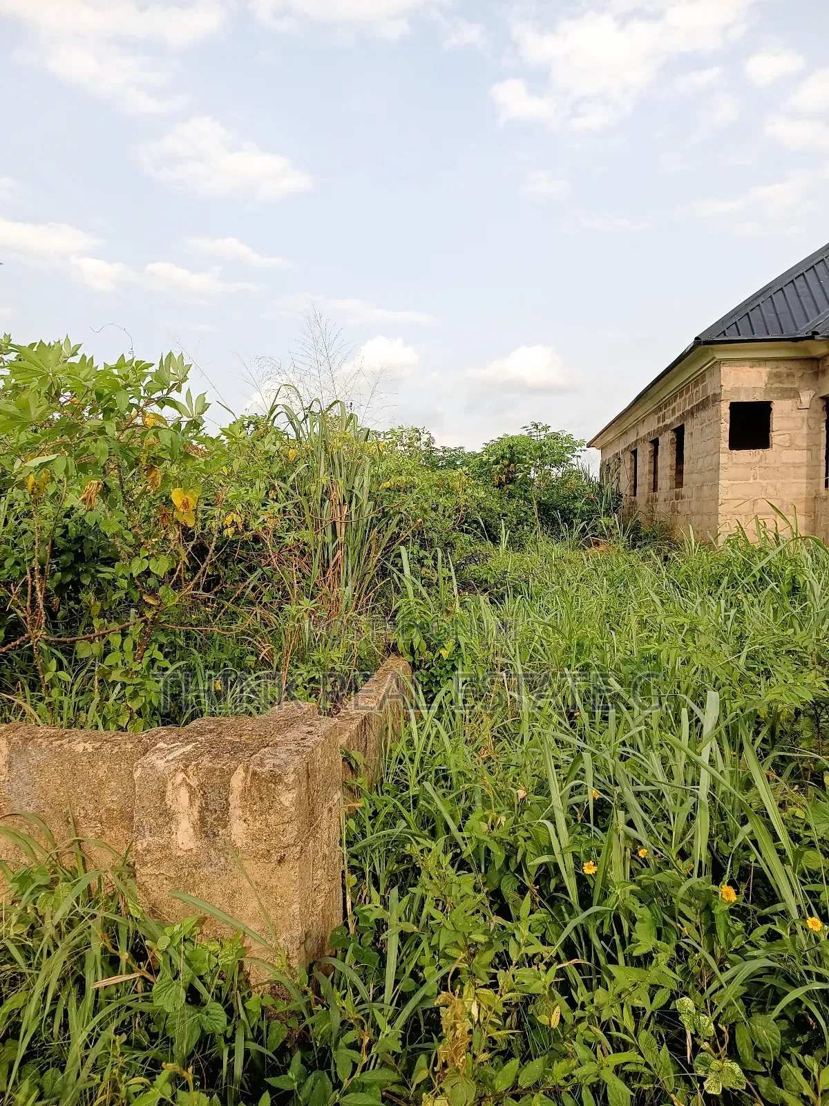 50/100 Land at Iyowa,Oluku Already Fenced for 5.5m Slightly Negotiable in Benin City