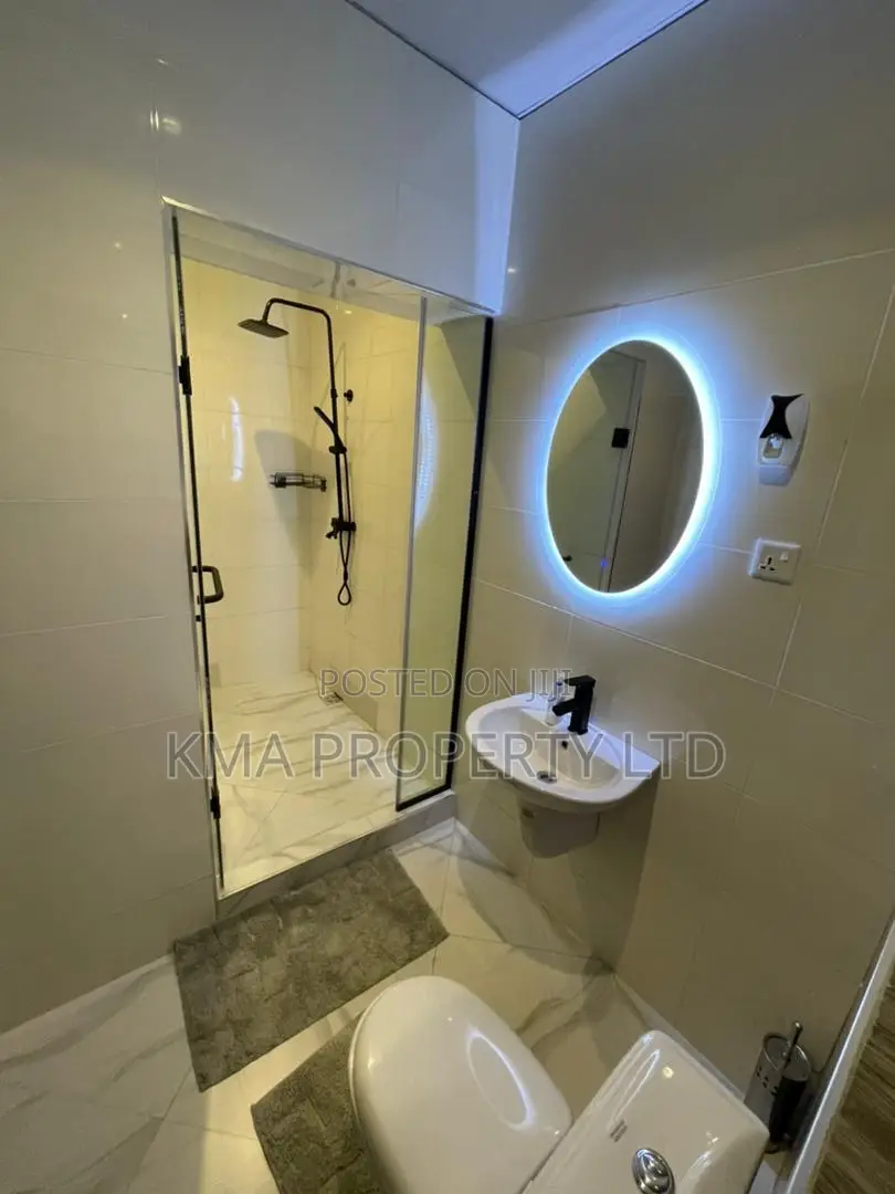 Luxurious 2 Bedroom Apartment in Victoria Island