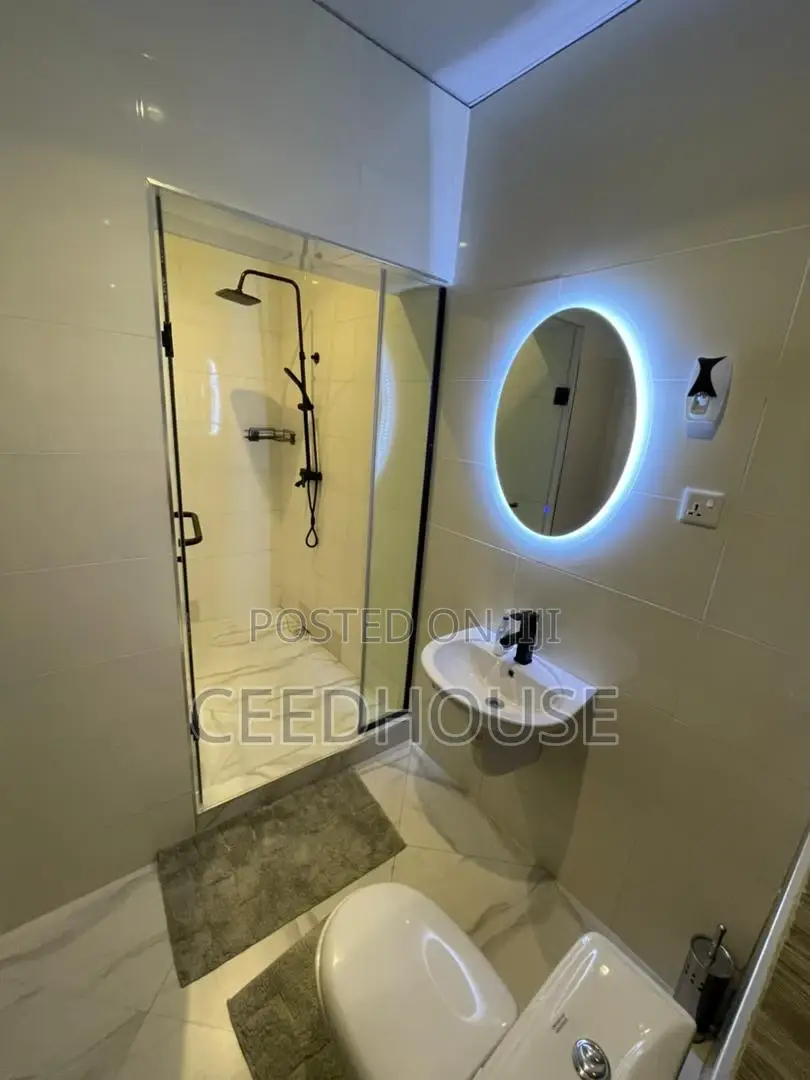 Luxurious 2 Bedroom Apartment in Victoria Island