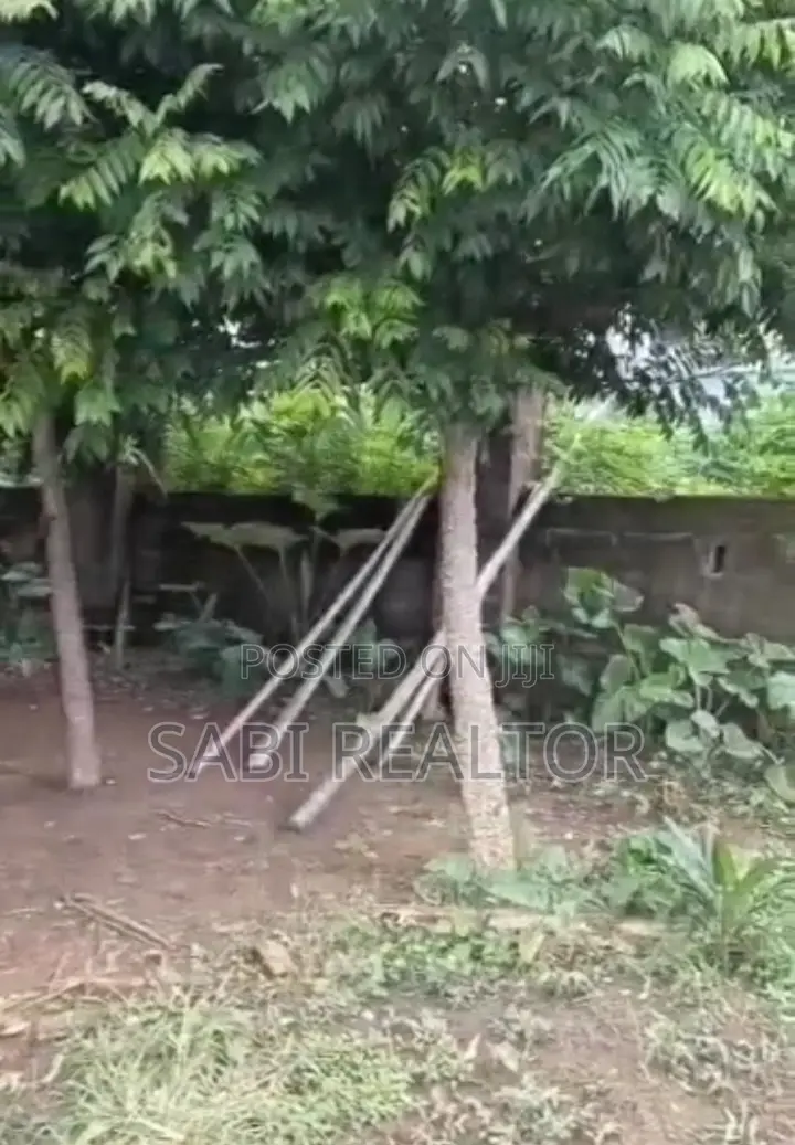 Half Plot of Land With Cofo Suitable for Residential at Ayobo for Slae in Ayobo