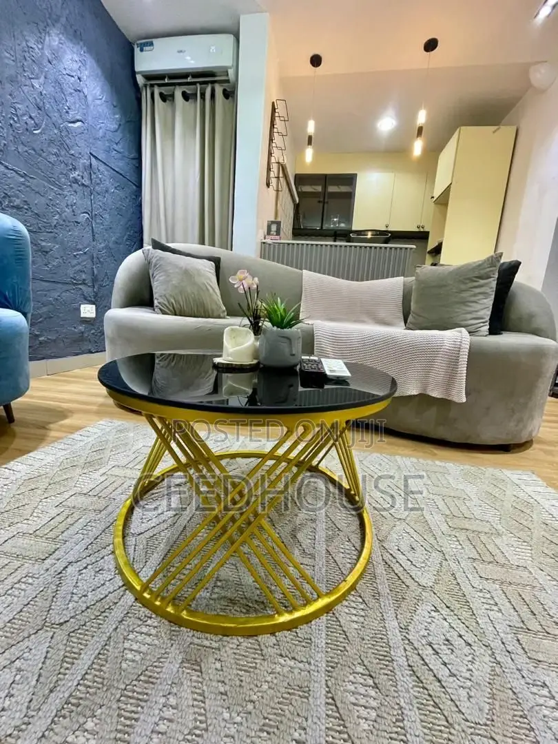 Tastefully Furnished 1 Bedroom Apartment in Lekki Phase 1