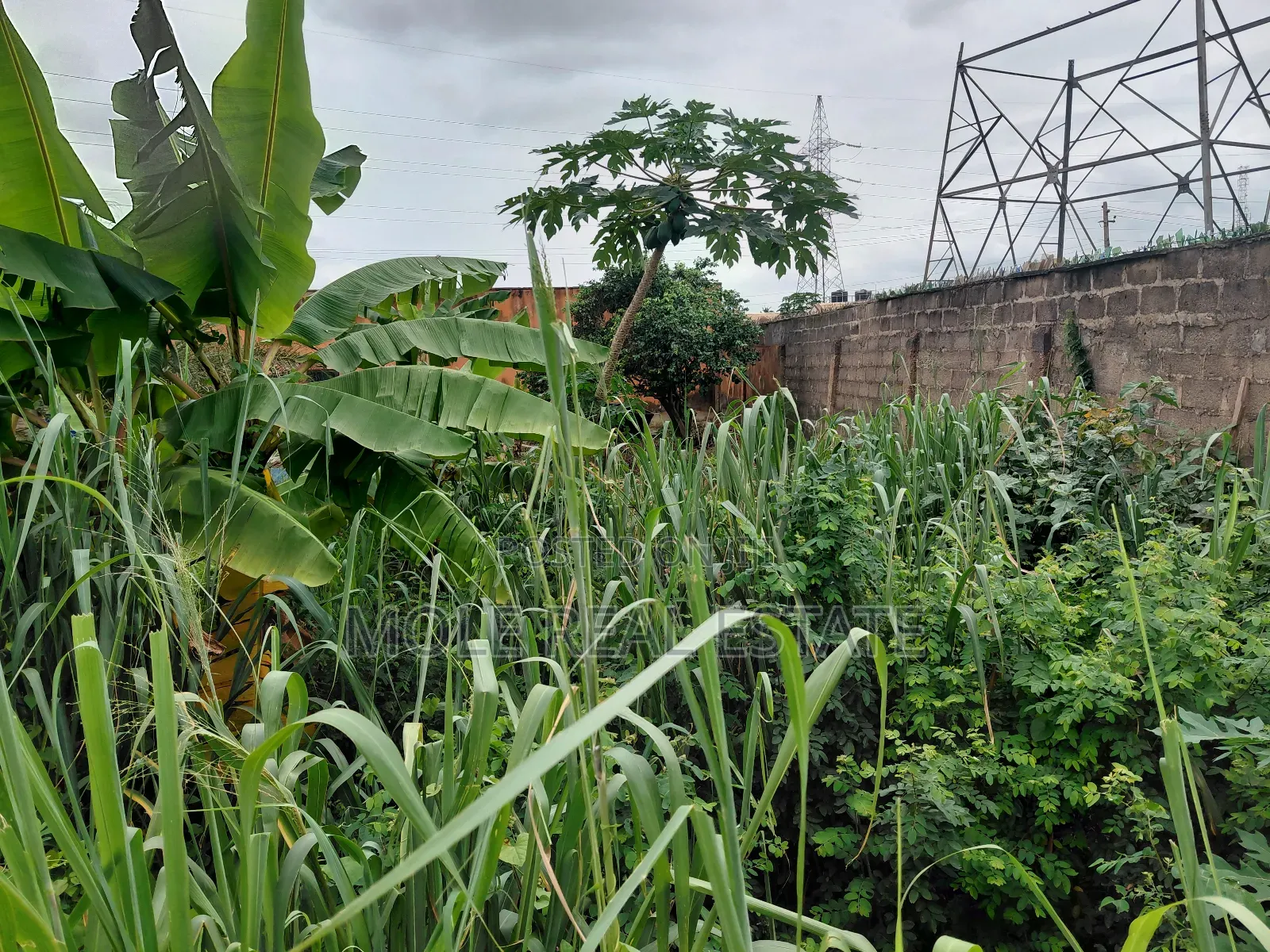 Half Plot of Land Dwarf Fenced New Ijegun Ijegemo High Way in Ijegun
