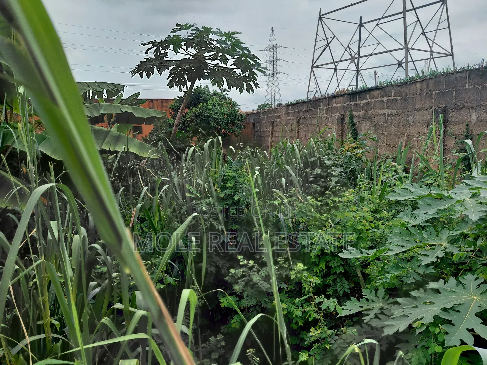 Half Plot of Land Dwarf Fenced New Ijegun Ijegemo High Way in Ijegun