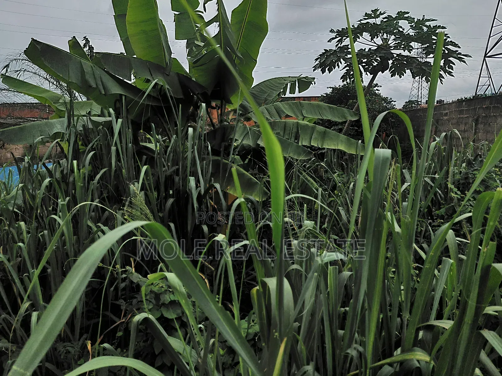 600sqm Plot 4 Sale Adeniyi Jones Ikeja in Adeniyi Jones