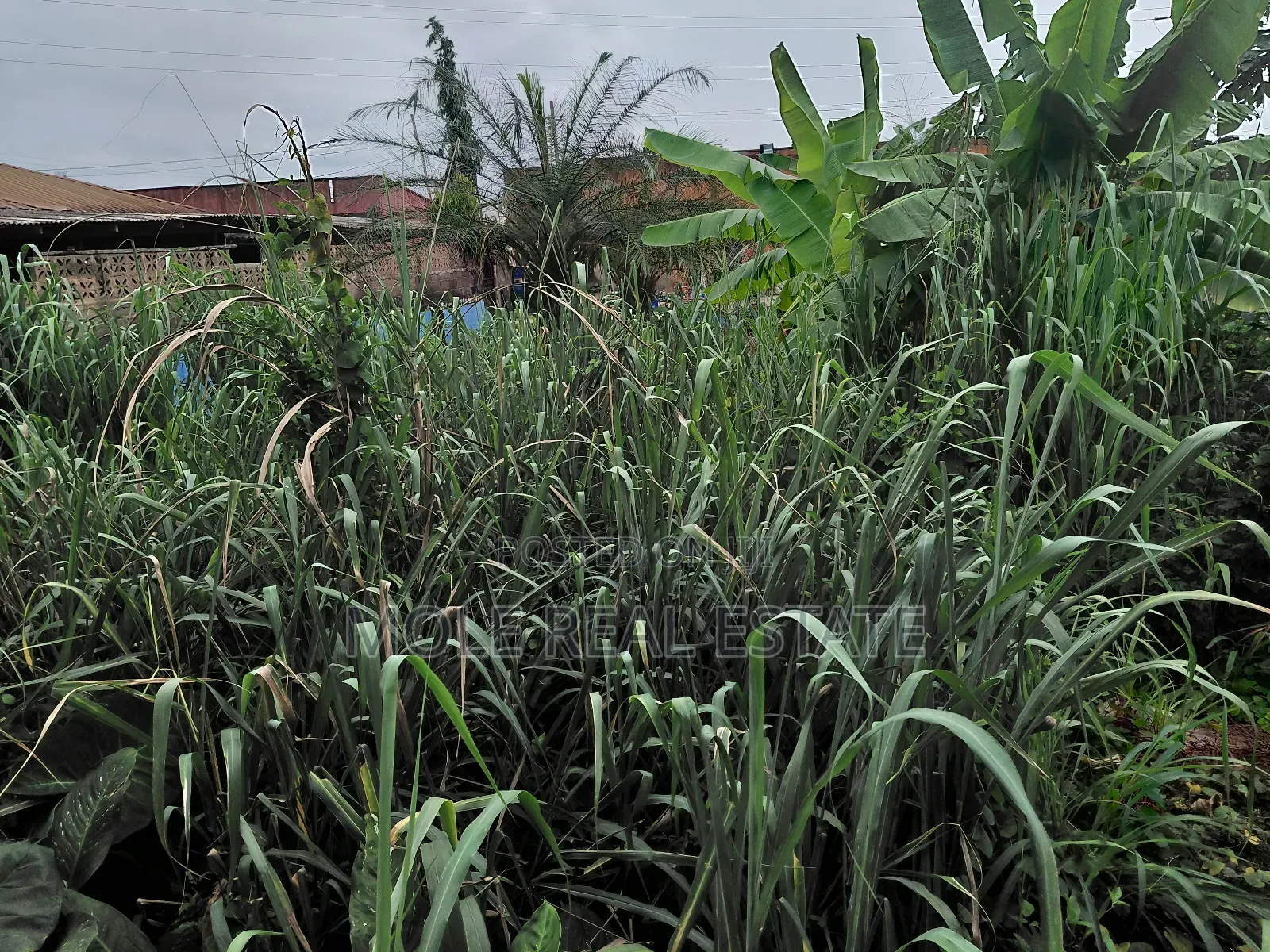 600sqm Plot 4 Sale Adeniyi Jones Ikeja in Adeniyi Jones